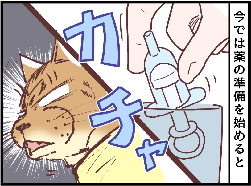 オマエ、違法な物に手を出してないだろうな?と思った時・・・。  covovoy.blog.jpからまだ未公開の最新話を読むことができます!  #ニャンコ #まんが #猫 #猫あるある #猫漫画 #ペット #飼い主 #エッセイ漫画 #キャット #猫のいる暮らし
