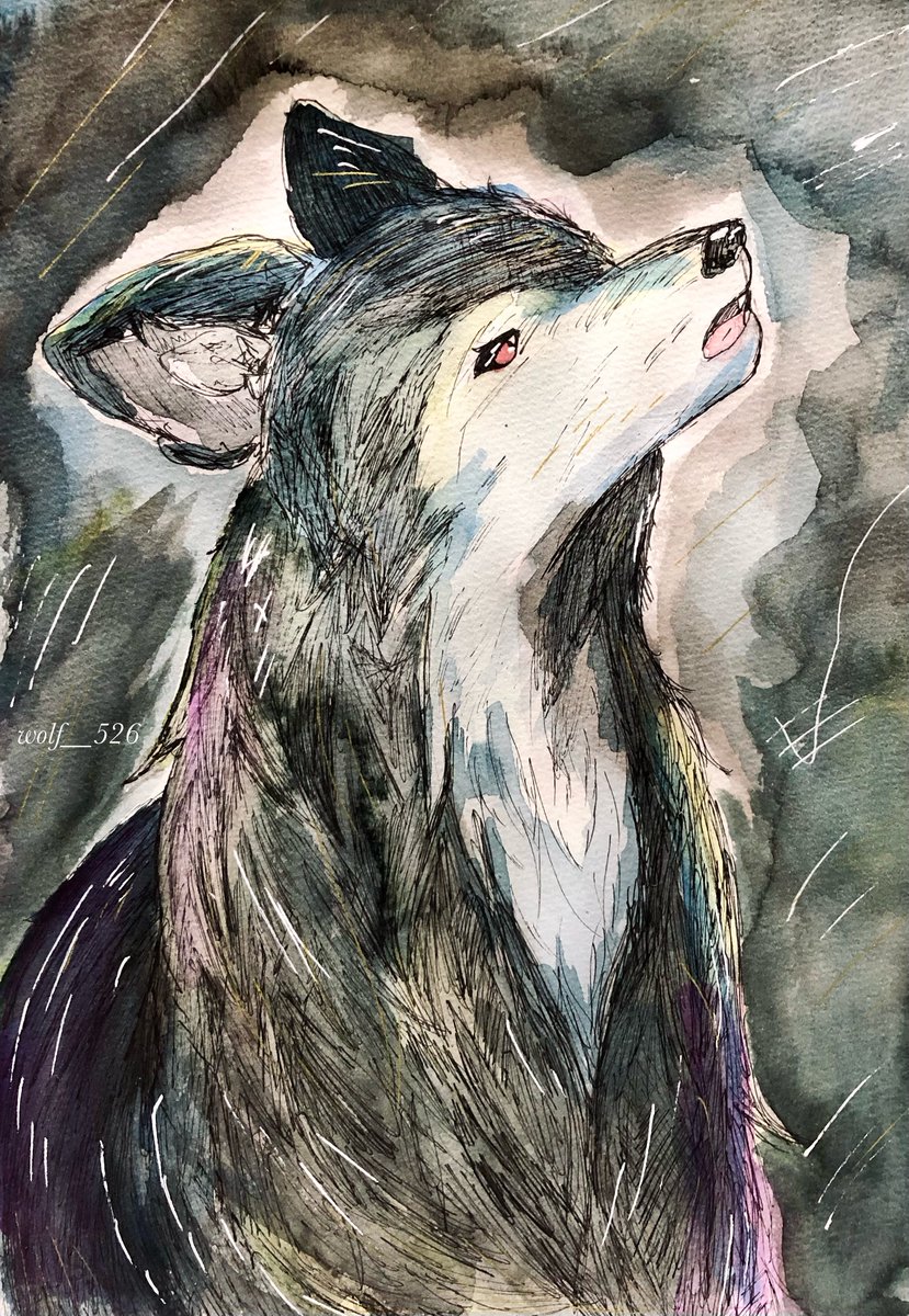 狼
#狼 #水彩イラスト #ヴォルフのアート #watercolor #wildlifeart #wolfart