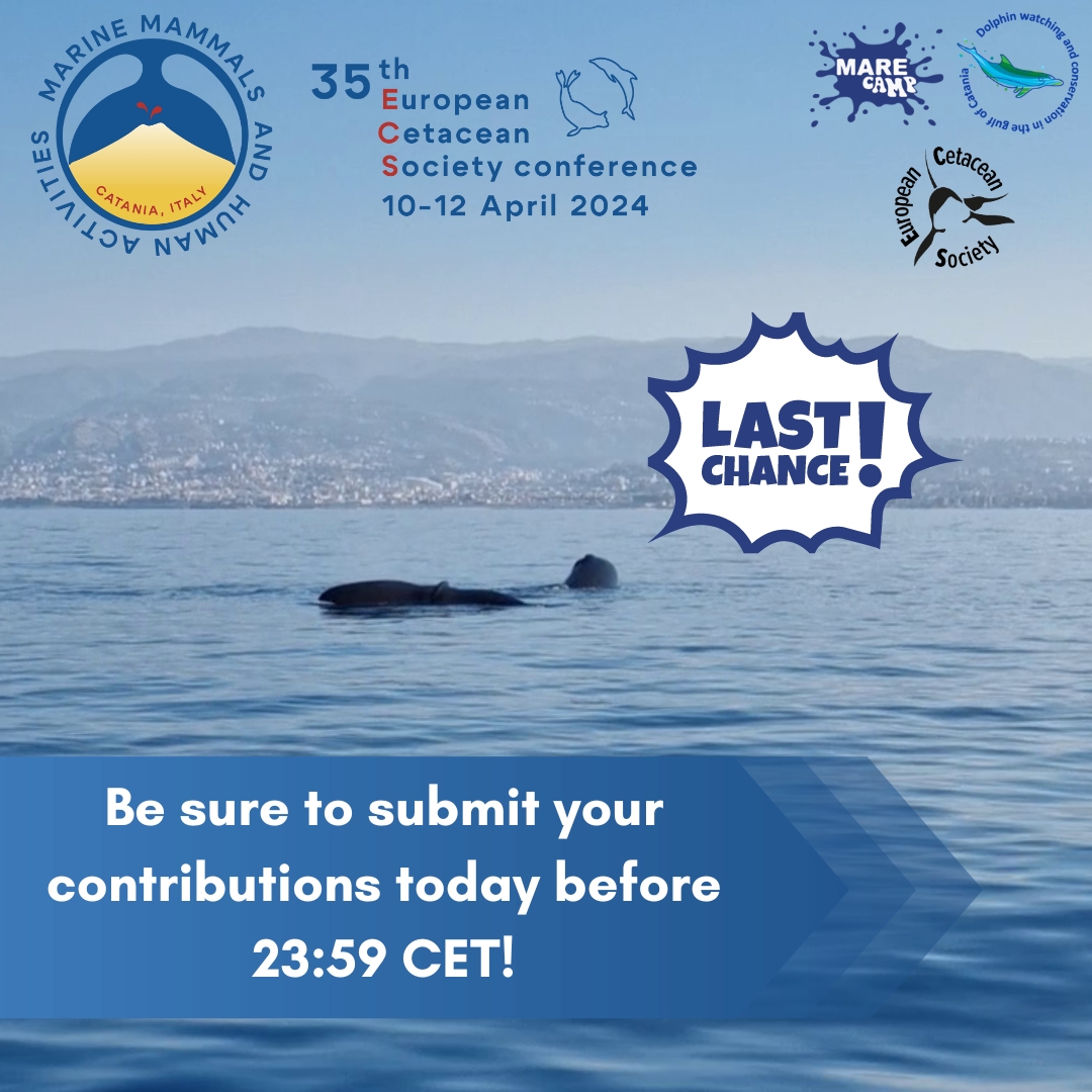 EuroCetSoc's tweet photo. ⏰ Today you have the last chance to submit your abstract and workshop proposals to the upcoming #35thECSConference in #Catania. ⚠🐬🐳🦭
Be sure to submit your contributions before 23:59 CET!

@Marecamp_CT 

#ECS #ECSconference2024 #marinemammals #cetaceans #Sicily #abstract https://t.co/xy7BoKBXoy