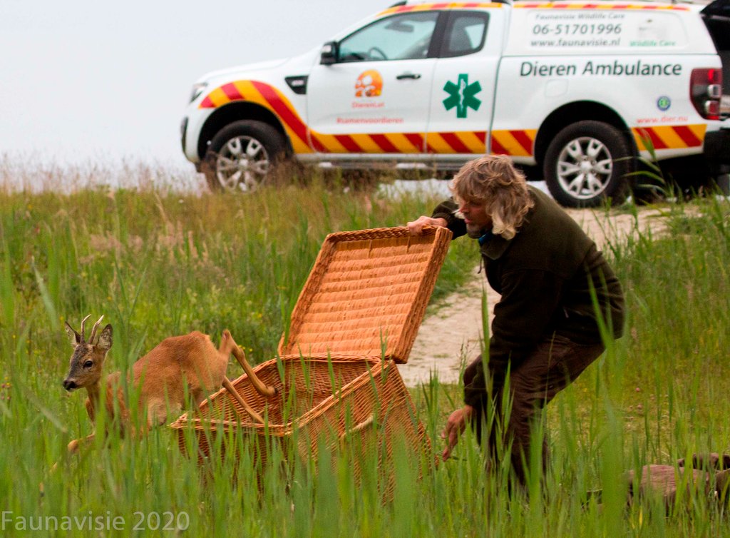 Wil jij in 2024 iets goeds doen voor dieren in nood? Kijk dan op onze vacaturebank voor betaalde of vrijwilligersfuncties in de dierenhulp. De dieren hebben ons hard nodig!
dier.nu/vacatures
#samenvoordieren #dierenhulp #vrijwilliger #betaald
dier.nu/vacatures