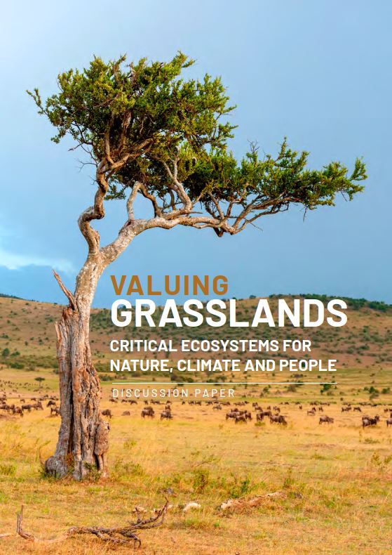 🚨Excited to share this 🆕discussion paper on the importance of grasslands and savannahs for nature, climate and people. Developed by the GRaSS Alliance which we are proud to have formed with @BirdLife_News @ConservationOrg @Love_plants and @nature_org 👉wwfint.awsassets.panda.org/downloads/valu…