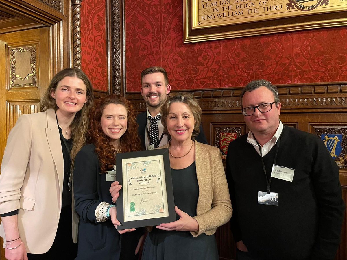 Rebecca Pow tweet media