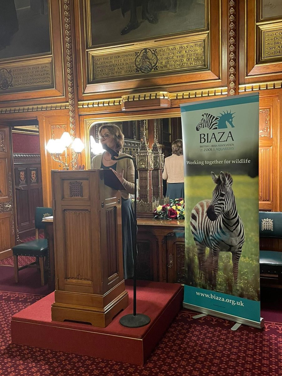 Rebecca Pow tweet media