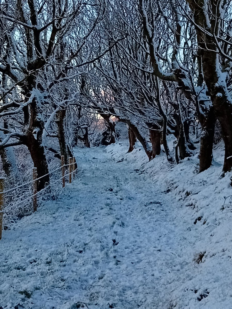 God's country. #Fanad #MulroyBay #Sneachta