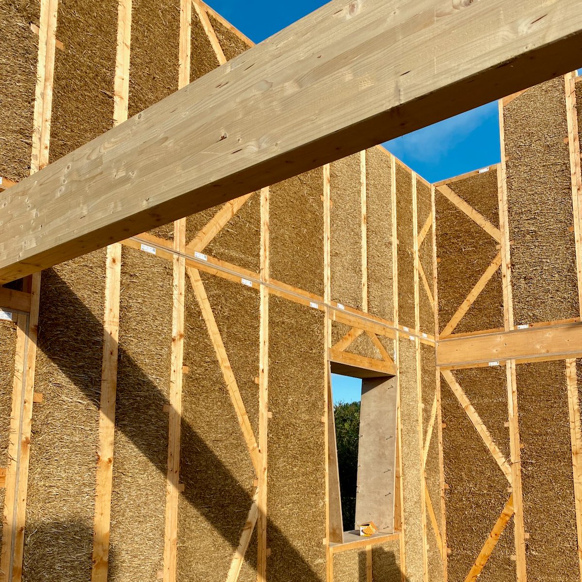 EcoCocon - Straw Wall System tweet media