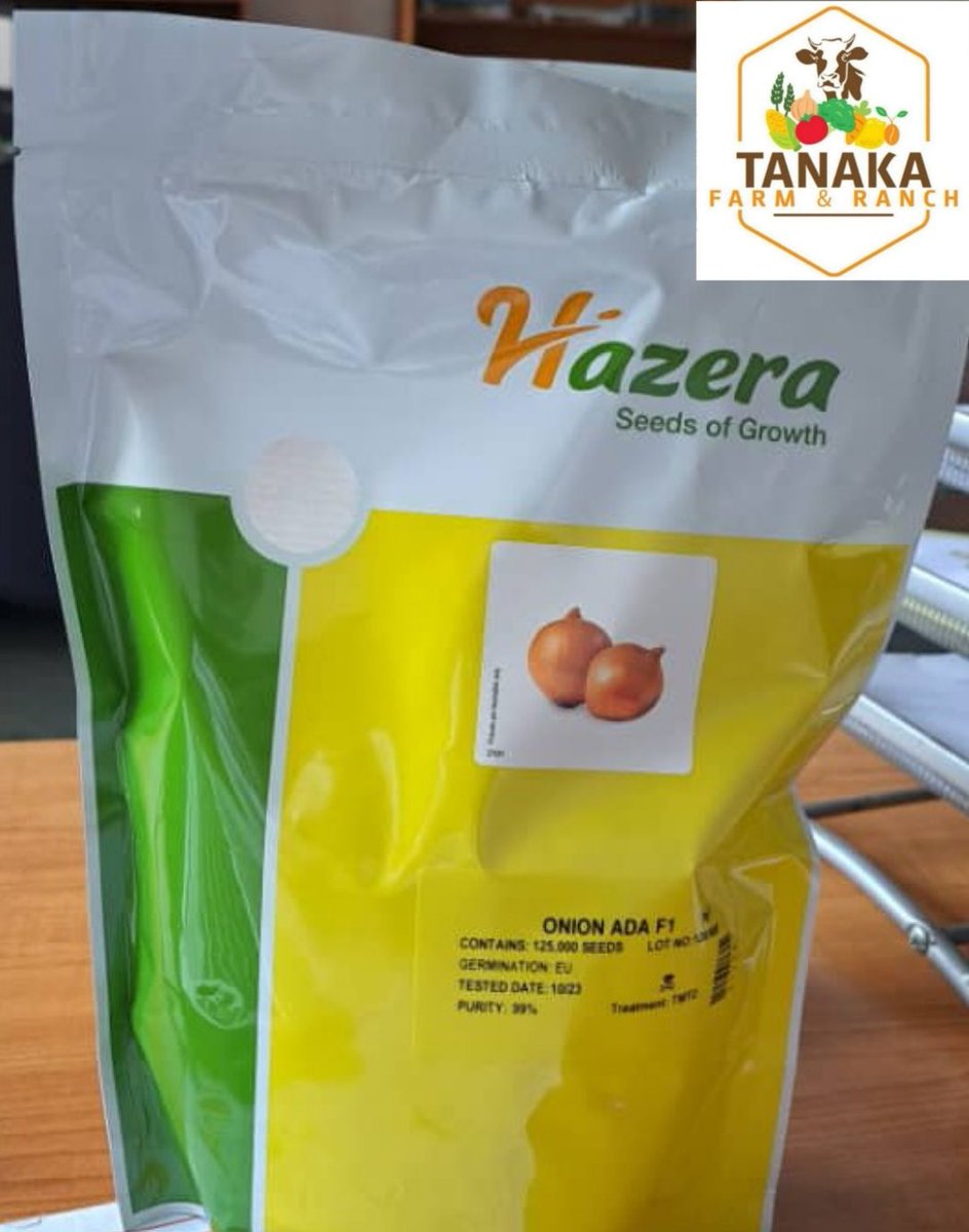 ONION SEED AVAILABLE - Variety ADA from HAZEERA hybrid variety ADA $165 for 500g which has approximately 125 000 seeds inside. Talk to me order on WhatsApp +263 783025005 SEED not seedlings #farming