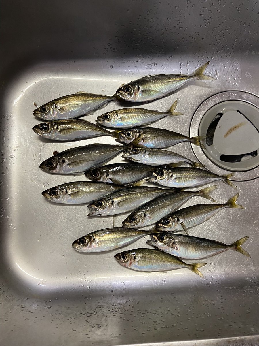 ムトウ tweet media