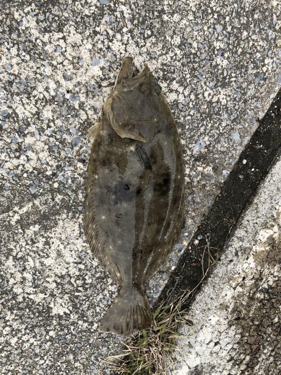 ムトウ tweet media