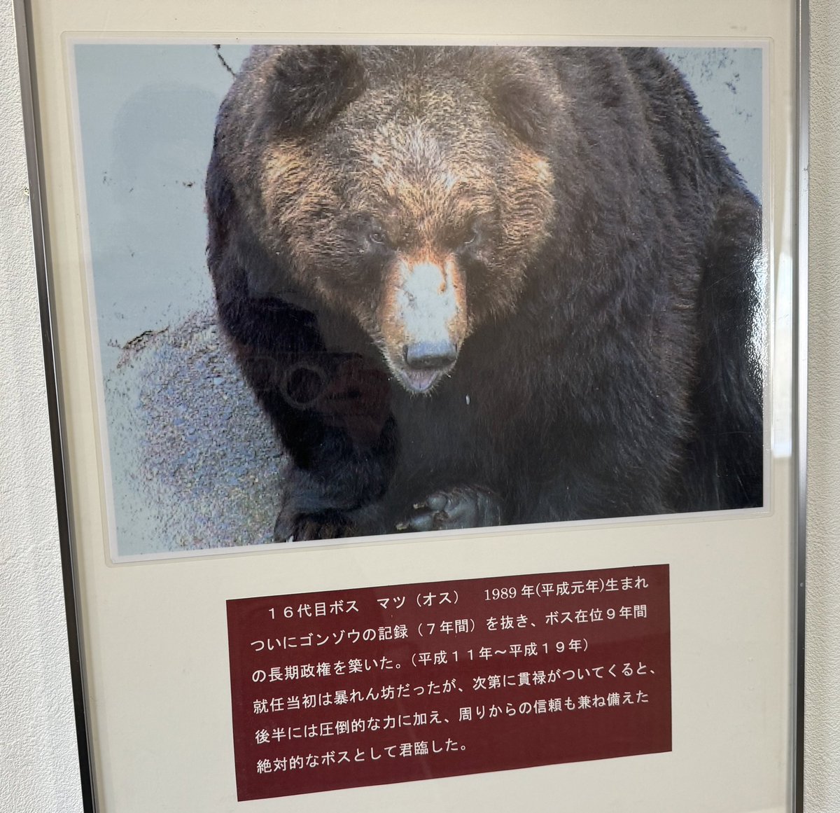 tetsuto_w's tweet photo. のぼりべつクマ牧場、物語があり過ぎる https://t.co/eUSQYUeLRc
