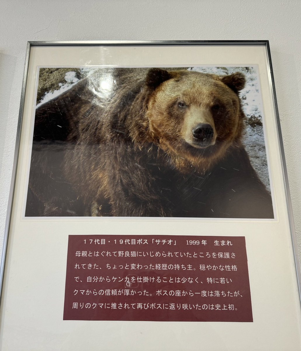 tetsuto_w's tweet photo. のぼりべつクマ牧場、物語があり過ぎる https://t.co/eUSQYUeLRc