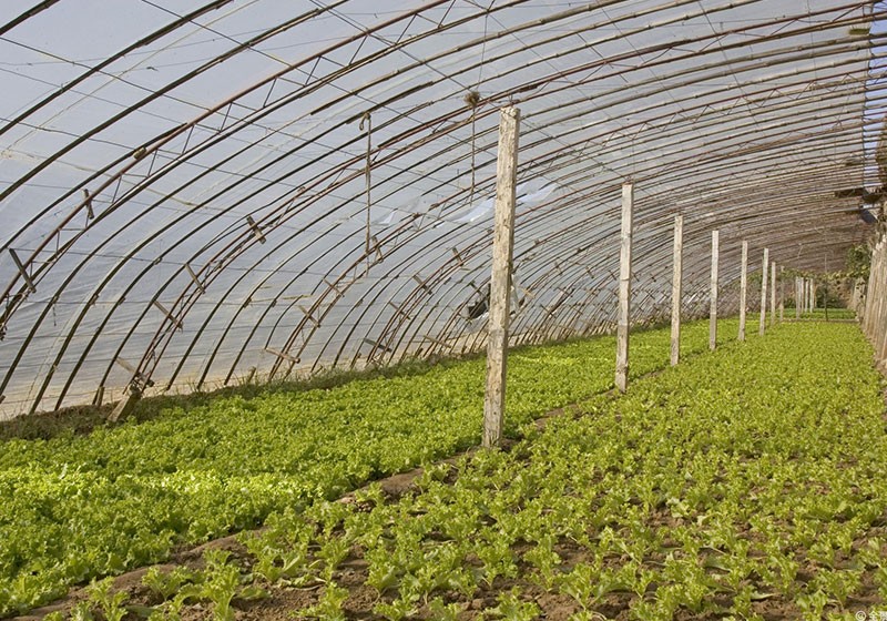 RikaSensor's tweet image. If you are looking for smart agriculture sensors or farm monitoring system, welcome to contact Rika Sensor. We provide the whole farm monitoring solution and smart agriculture solution.
More: bit.ly/48DviDU
#sensorsolution #weathersensor