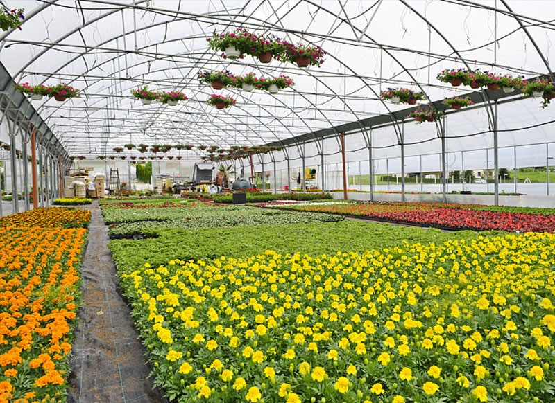 RikaSensor's tweet image. If you are looking for smart agriculture sensors or farm monitoring system, welcome to contact Rika Sensor. We provide the whole farm monitoring solution and smart agriculture solution.
More: bit.ly/48DviDU
#sensorsolution #weathersensor