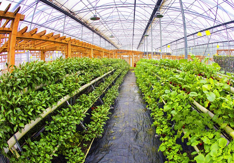 RikaSensor's tweet image. If you are looking for smart agriculture sensors or farm monitoring system, welcome to contact Rika Sensor. We provide the whole farm monitoring solution and smart agriculture solution.
More: bit.ly/48DviDU
#sensorsolution #weathersensor