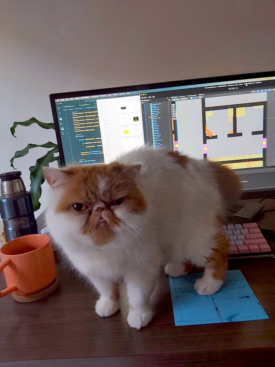 the platform i've built here may not be very useful to my current projects but i can at least make sure that a few thousand people will see this weird fucking cat that i'm petsitting