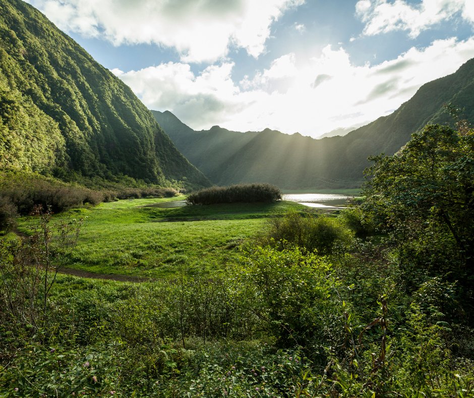 O.N.G COEDADE EU tweet media