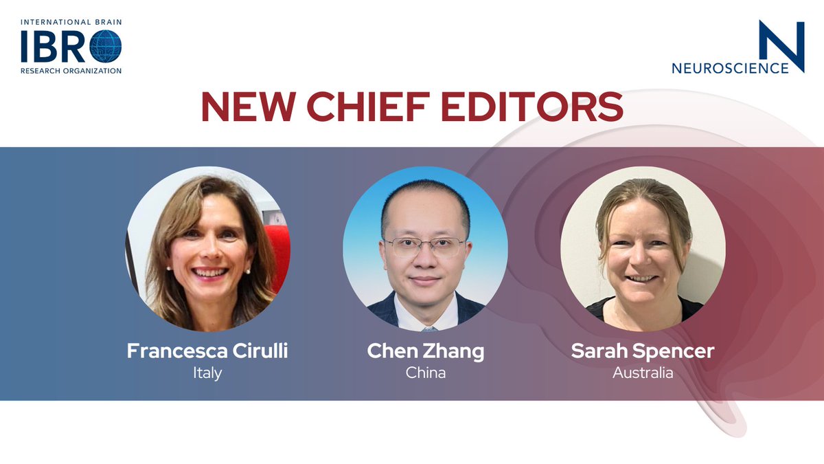 IBRO is delighted to welcome @franciru1, Chen Zhang & @SJSpencerLab as new Chief Editors of @NeurosciIBRO! Their excellence & diversity will play a pivotal role in shaping the future of IBRO’s flagship journal 👉 Meet the team: ow.ly/oc5W50QraAv @ELSneuroscience