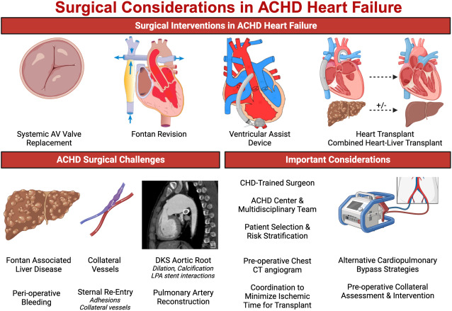 Surgical Considerations in ACHD Heart Failure. Appreciate the opportunity to contribute. Free Full Text Link available until 3.7.24: authors.elsevier.com/a/1iRbv5WqPxIi….