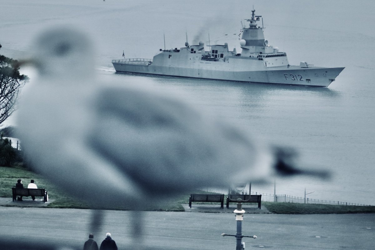 When the Norwegian Navy frigate HNoMS Otto Sverdrup gets photo bombed by my regular seagull Alfie😉