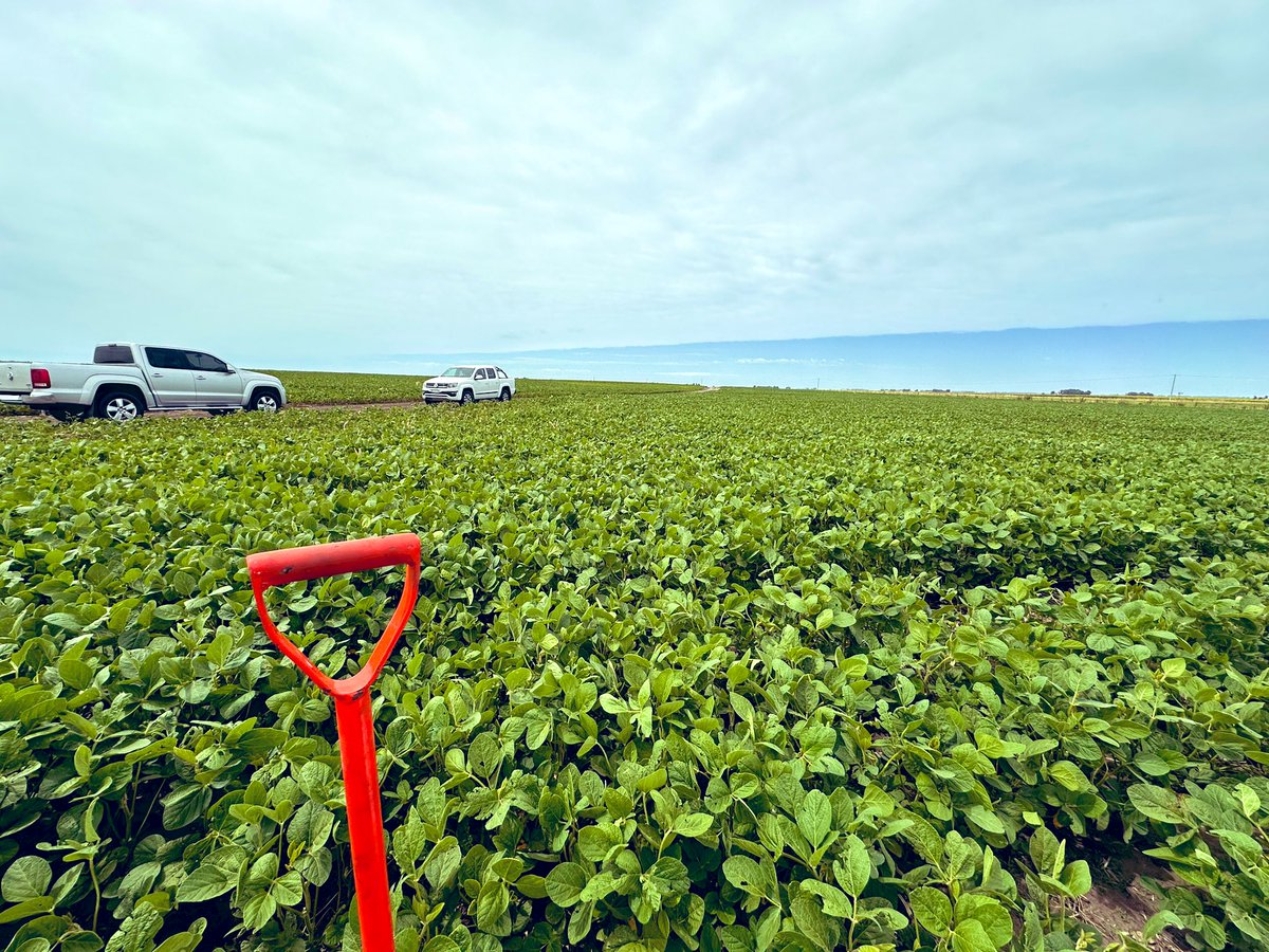 Damian Gopar (@damiantwr) on Twitter photo Evaluando el comportamiento de Biológicos en Soja, muy buen intercambio, interesantes resultados.
intensos estuvieron los mosquito en la recorrida🦟.
<a href="/BASF_Agro_ARG/">BASF Agro Argentina</a>
📌 JNFernandez. Evaluando el comportamiento de Biológicos en Soja, muy buen intercambio, interesantes resultados.
intensos estuvieron los mosquito en la recorrida🦟.
<a href="/BASF_Agro_ARG/">BASF Agro Argentina</a>
📌 JNFernandez.