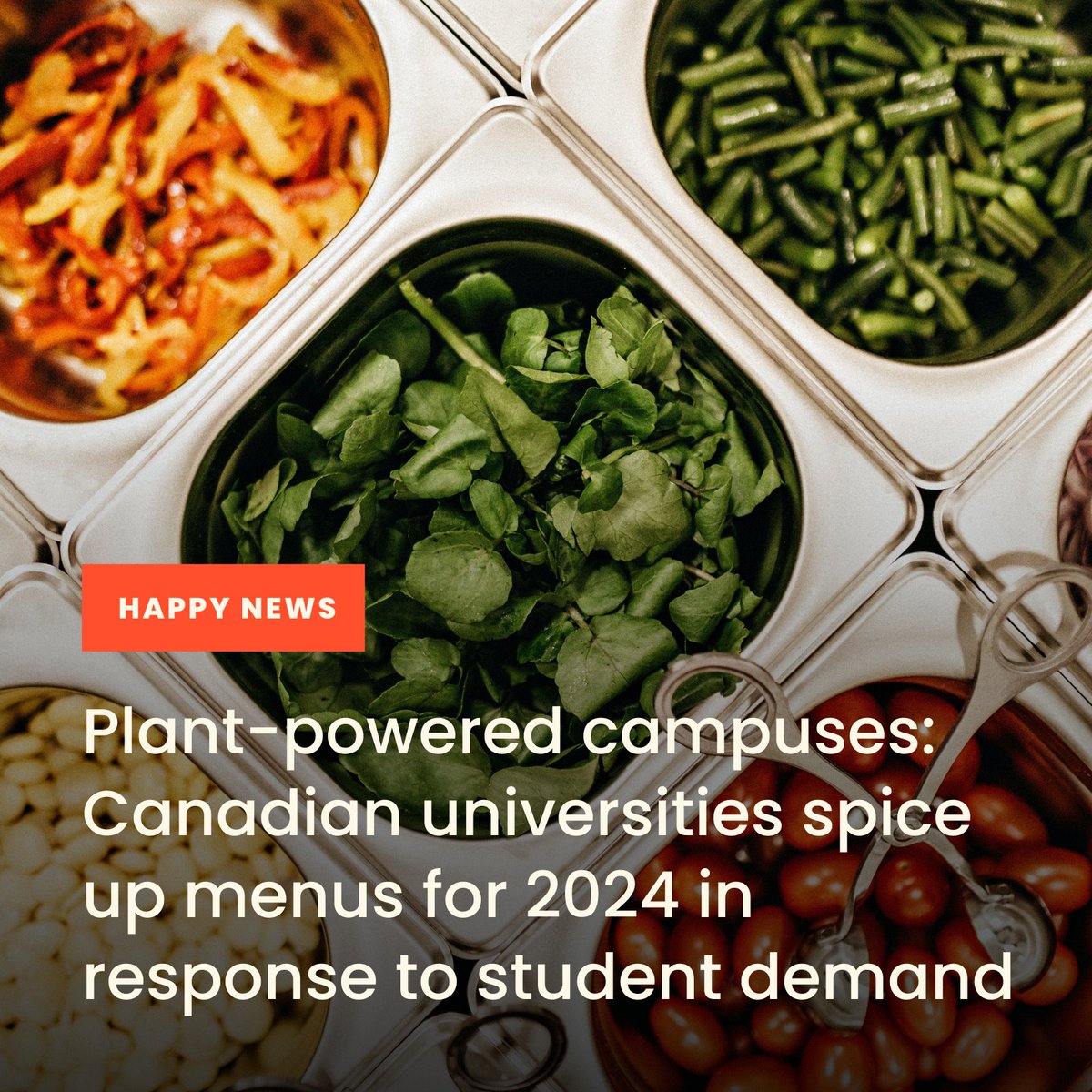 🇨🇦 Canadian universities are embracing change! Student demand fuels a shift to 40% plant-based menus at Western ahead of schedule. UBC targets 80% by 2025, while Concordia plans a 30% reduction in meat, dairy, and eggs. 🍽️ #eatmoreveggies #plantbased #vegan