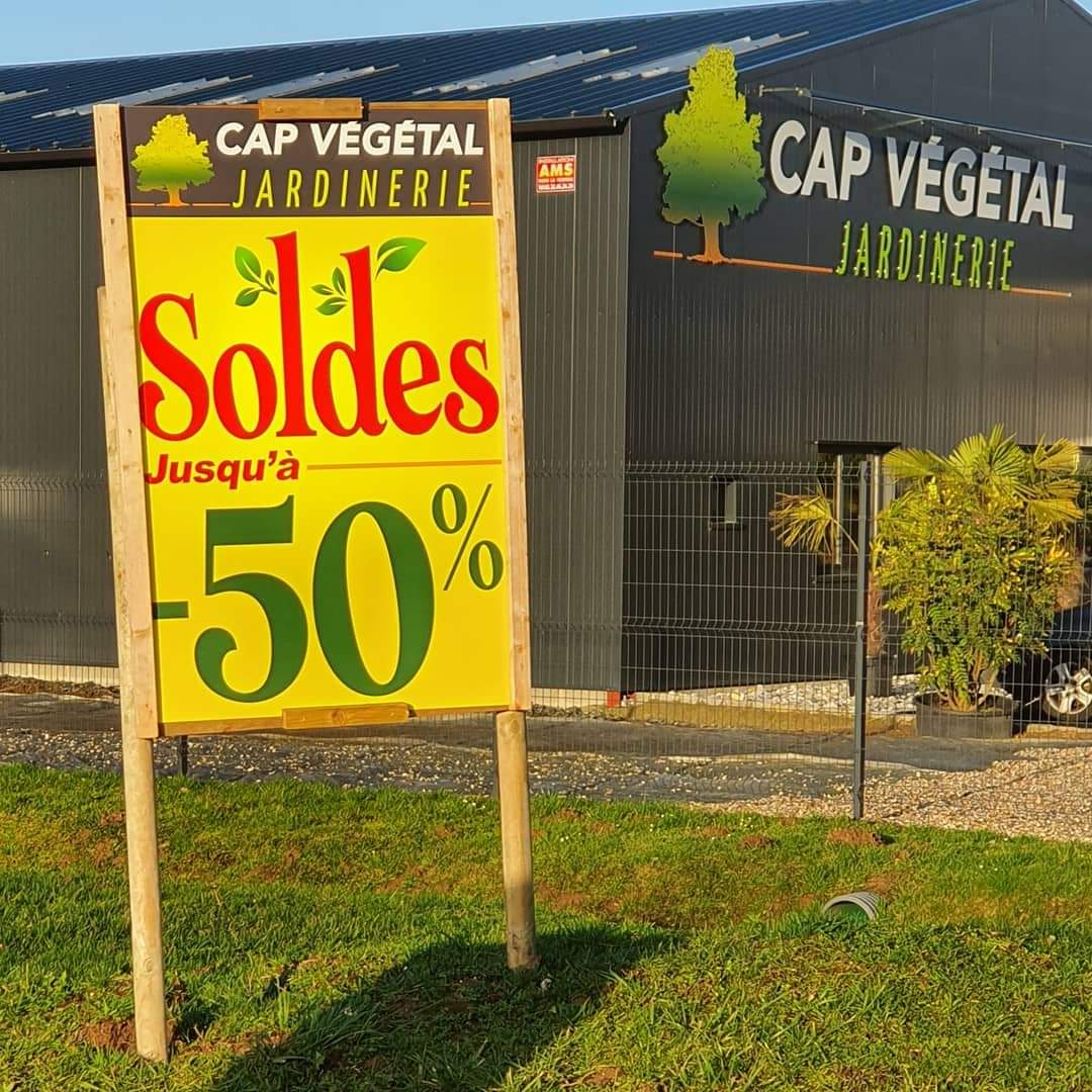 Soldes jusqu'à moins 50% sur une sélection d'articles à découvrir dans votre jardinerie <a href="/CapVegetal/">Jardinerie CAP VEGETAL</a> de Lieurey 🤩
#soldes #soldeshiver #bonneaffaire