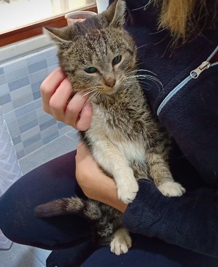 Proyecto Cañada tweet media