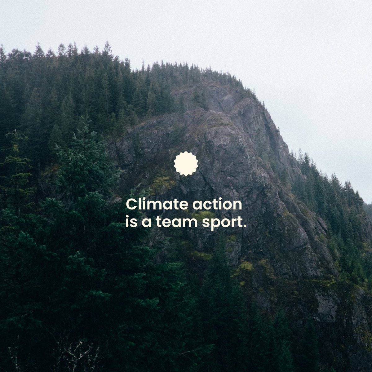 Elevate your impact—climate action is the squad you want to be on! 🌿 Can we count YOU in? #countusin #takeastep #climatechampions #sustainability #sustainablelifestyle #climateaction #climatechange