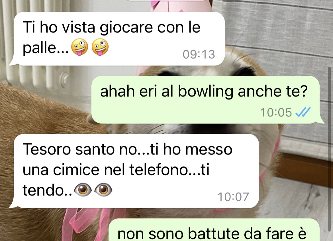 fqle 𓅰 tweet media