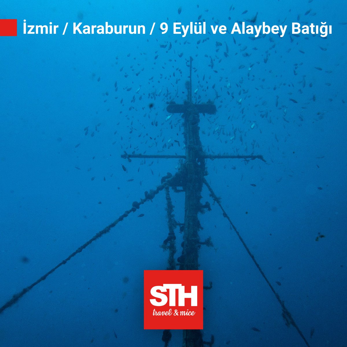 STHTeamTr's tweet photo. Dalış tutkunuysanız su altını da birlikte keşfedebiliriz.

#Sthtravel #dalış #bodrum #çanakkale #ayvalık #izmir #sthteam https://t.co/UI73zWPQYQ
