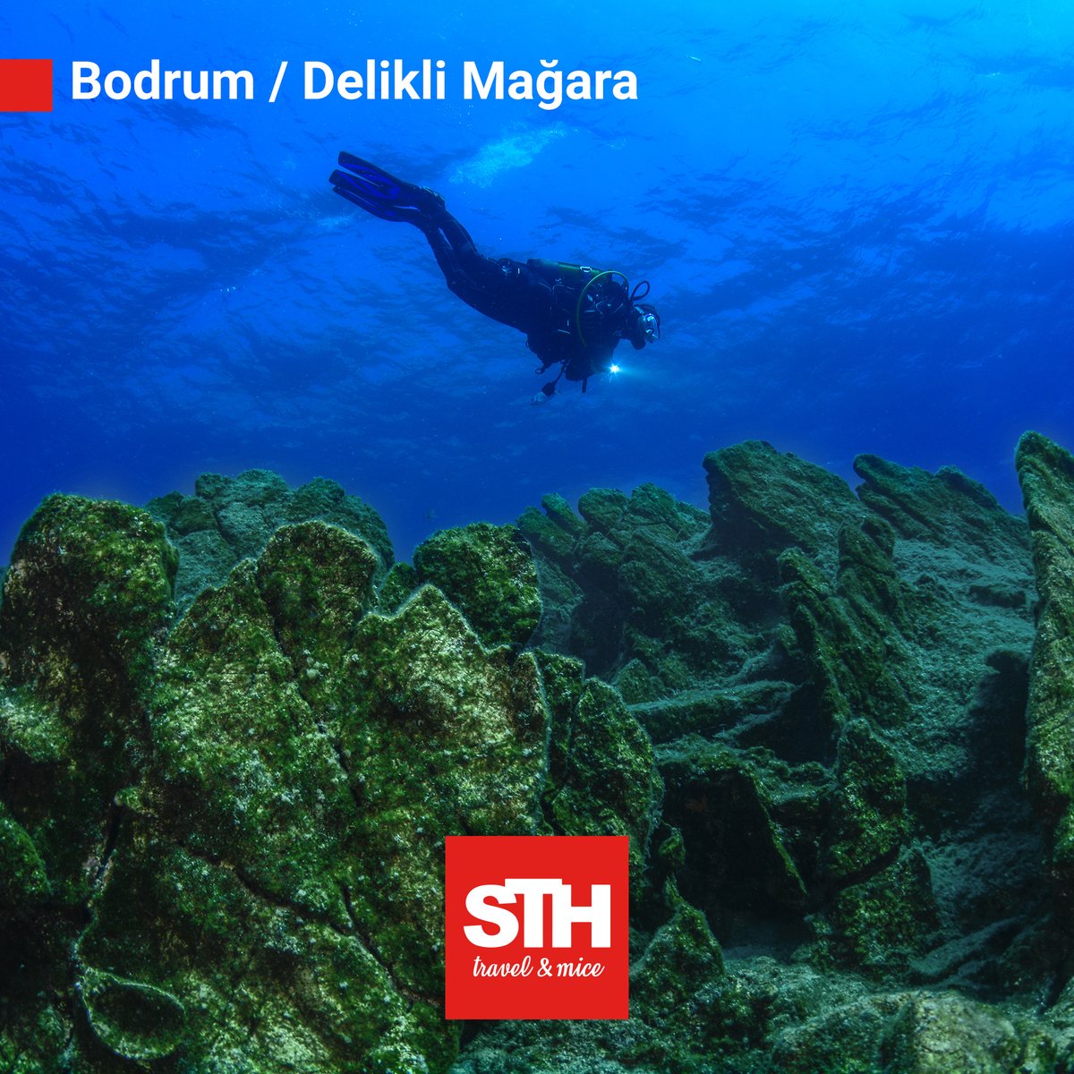 Dalış tutkunuysanız su altını da birlikte keşfedebiliriz.

#Sthtravel #dalış #bodrum #çanakkale #ayvalık #izmir #sthteam