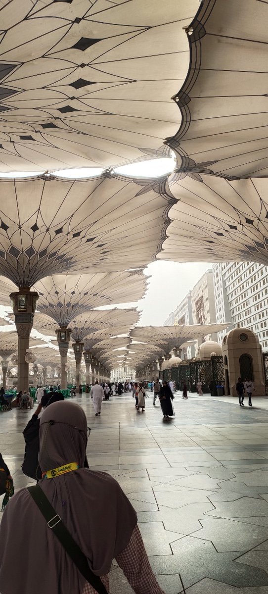 fianofian's tweet photo. Beautiful place ❤️
#MADINAH #Medina #MasjidNabawi #MECCA #Umroh #Umrah #Rauda #Raudha #MasjidilHaram #MadinahAlMunawwarah #MakkahAlMukarrahmah #MAKKAH #NabawiMosque https://t.co/AsF9MV2xPB