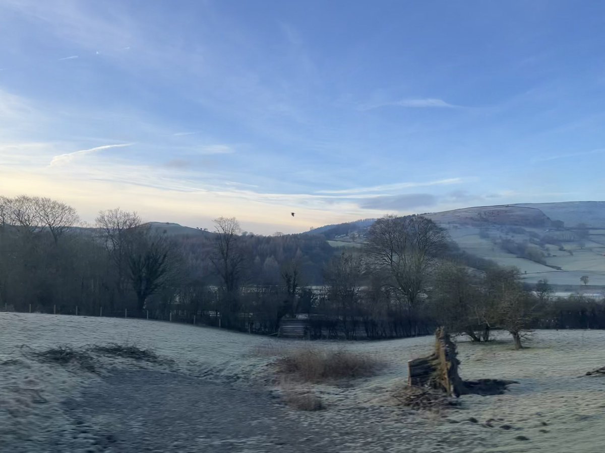 David Corbett tweet media