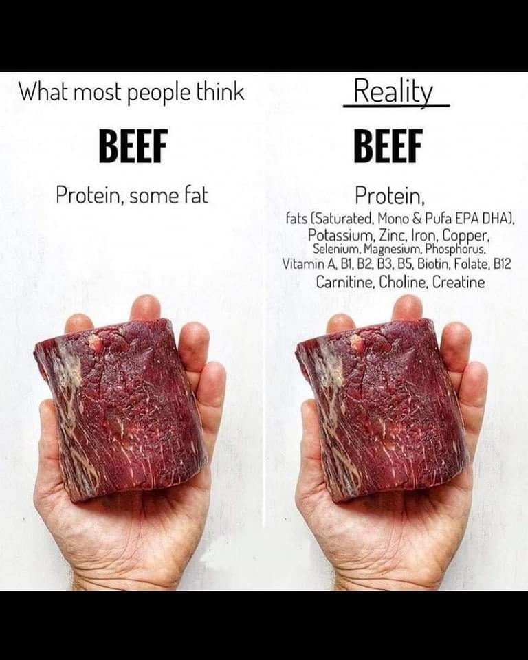 alextopol's tweet image. Beef is loaded with all the nutrients gained from lbs and lbs of plants compressed into this beauty! 

Vegan Cows make the best plant based steaks !!! 🥩❤️ 

#localbeef #farmtotable #aaabeef #antiobioticfree