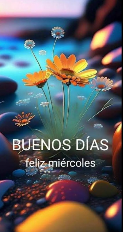 ErikaBravoDK's tweet photo. https://t.co/R1qPmSqv2Q