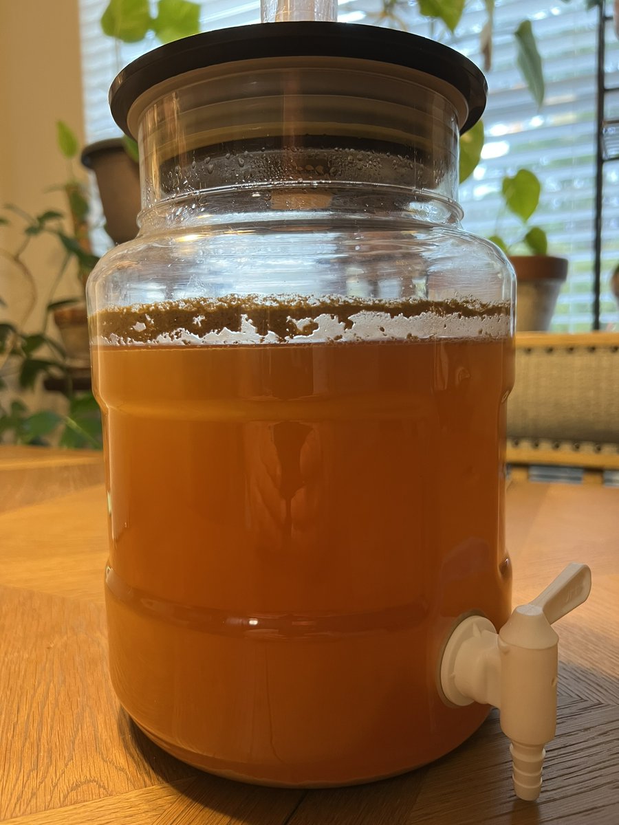 BrewingDaddy's tweet image. Craft a Brew&apos;s AG Orange Golden Ale at 2 weeks of fermentation.  

Visit brewingdaddy.com 

#craftabrew #agorangegoldenale #howtobrew #brewingathome #homebrewer #homebrewing #brewingbeer #beermaking #beerbrewing #howtobrewbeer #howtomakebeer #orangeale #orangegoldenale