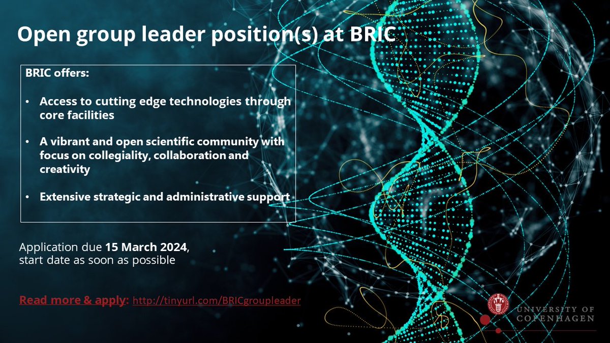 Exciting opening for independent group leader position(s) at our institute. Come join us at @UCPH_BRIC here in Copenhagen. Strong biomedical science and lots of opportunities for interdisciplinary research and collaborations 👇 tinyurl.com/BRICgroupleader