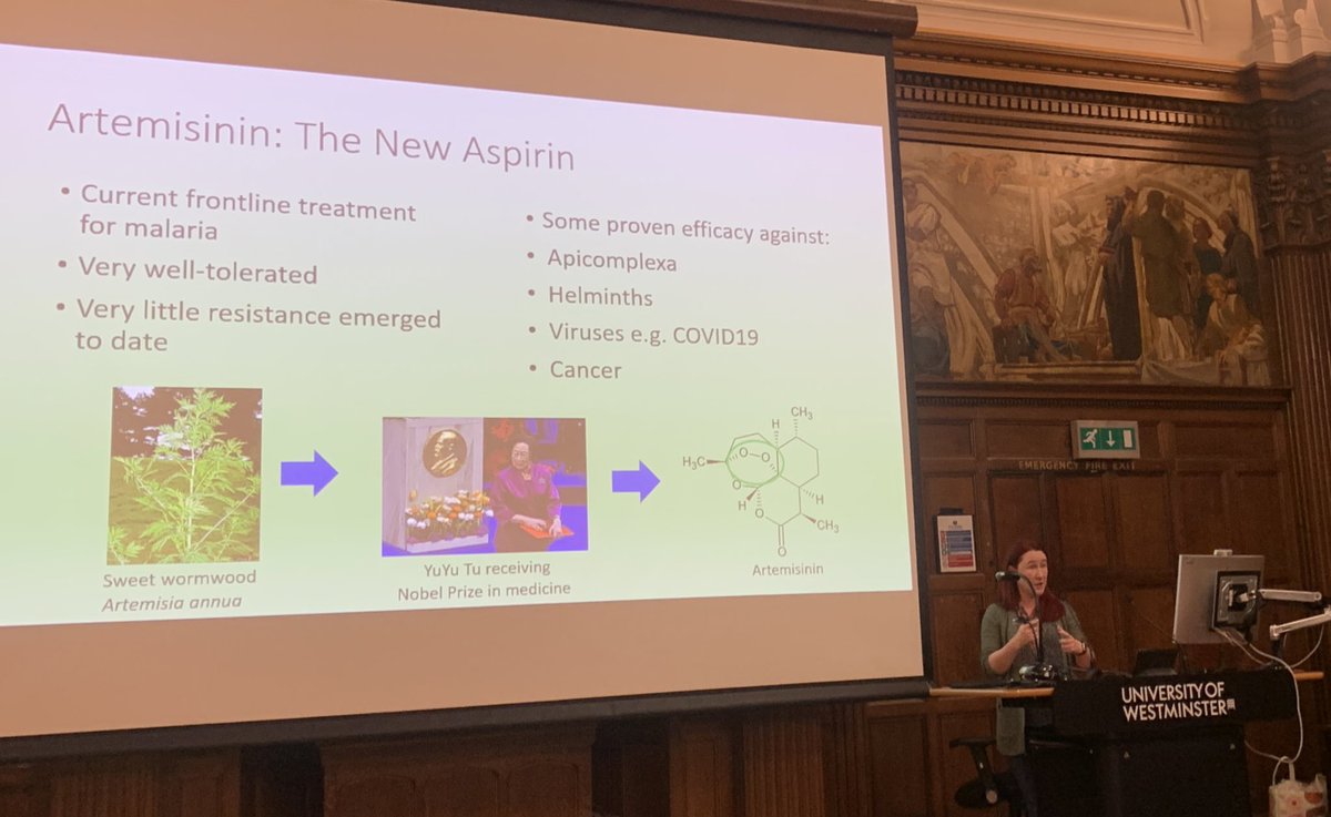 Artemisinin and mechanisms of action <a href="/cat1082/">Cathy Moore</a>