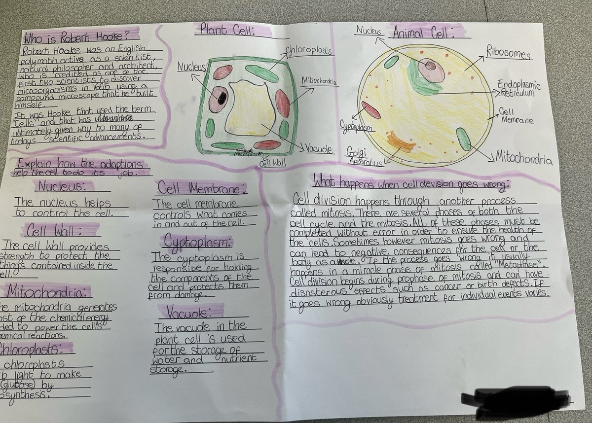 StandishCHS_Science tweet media