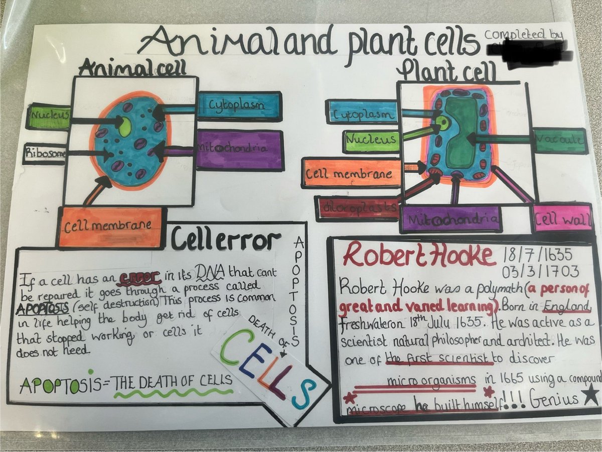 StandishCHS_Science tweet media