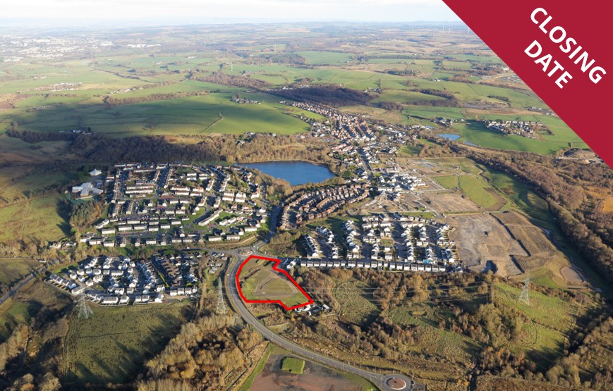 Scarlett Land and Development tweet media