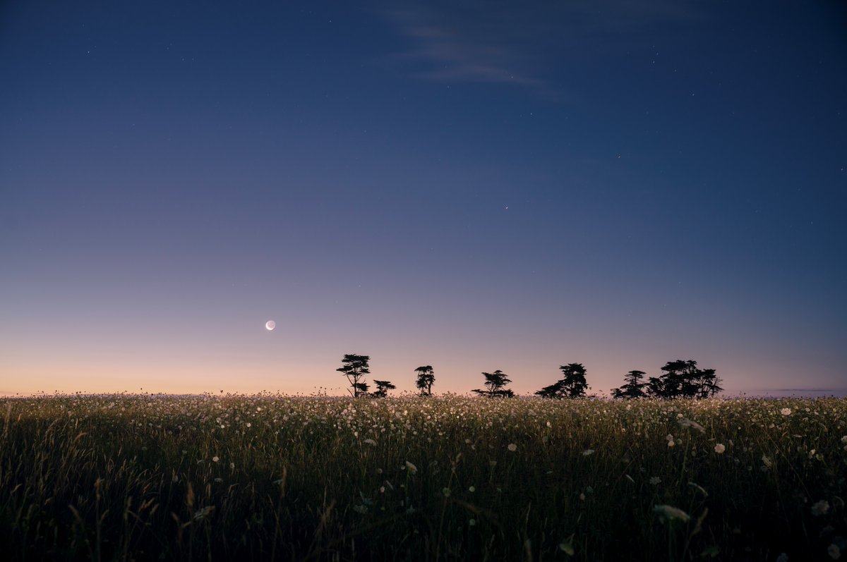 ezraleary tweet media