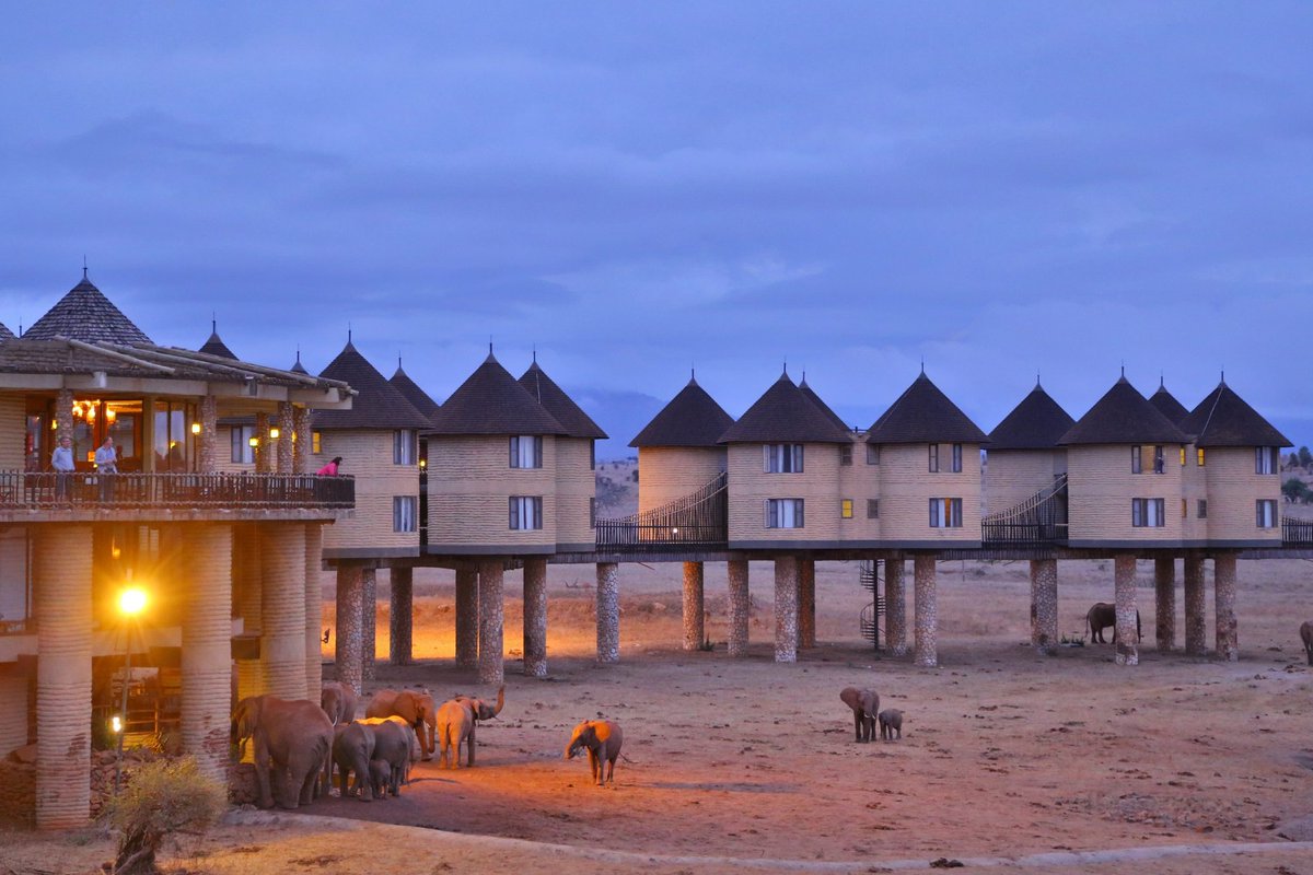 OtuSafaris's tweet photo. Uncover the well-hidden treasures of Tsavo at the Salt Lick Safari Lodge. 

SGR Package- (2 Nights) 

☑ Full board basis- KES 35,000 per person sharing 

To book; 

☎️📲 Call/ Whatsapp: 0722 353 884 or 

📩 Send us an email to: enquiries@otusafaris.com 

#tembeakenya https://t.co/In0EfOXFtC