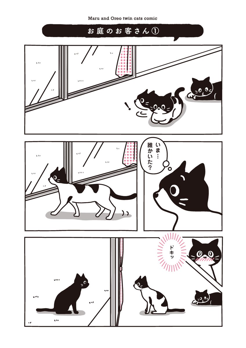 Maruore_comic's tweet photo. 【再掲】まどのそとにいた おともだち
 @fuji_ayako @umetokoume1 @famostaff  

#漫画が読めるハッシュタグ 
#猫がいる幸せ 
#猫がいる生活 
#マルとオレオふたりはなかよし https://t.co/nz2pviRCIF