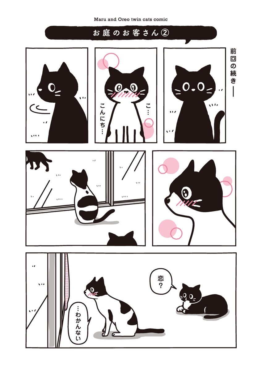 Maruore_comic's tweet photo. 【再掲】まどのそとにいた おともだち
 @fuji_ayako @umetokoume1 @famostaff  

#漫画が読めるハッシュタグ 
#猫がいる幸せ 
#猫がいる生活 
#マルとオレオふたりはなかよし https://t.co/nz2pviRCIF