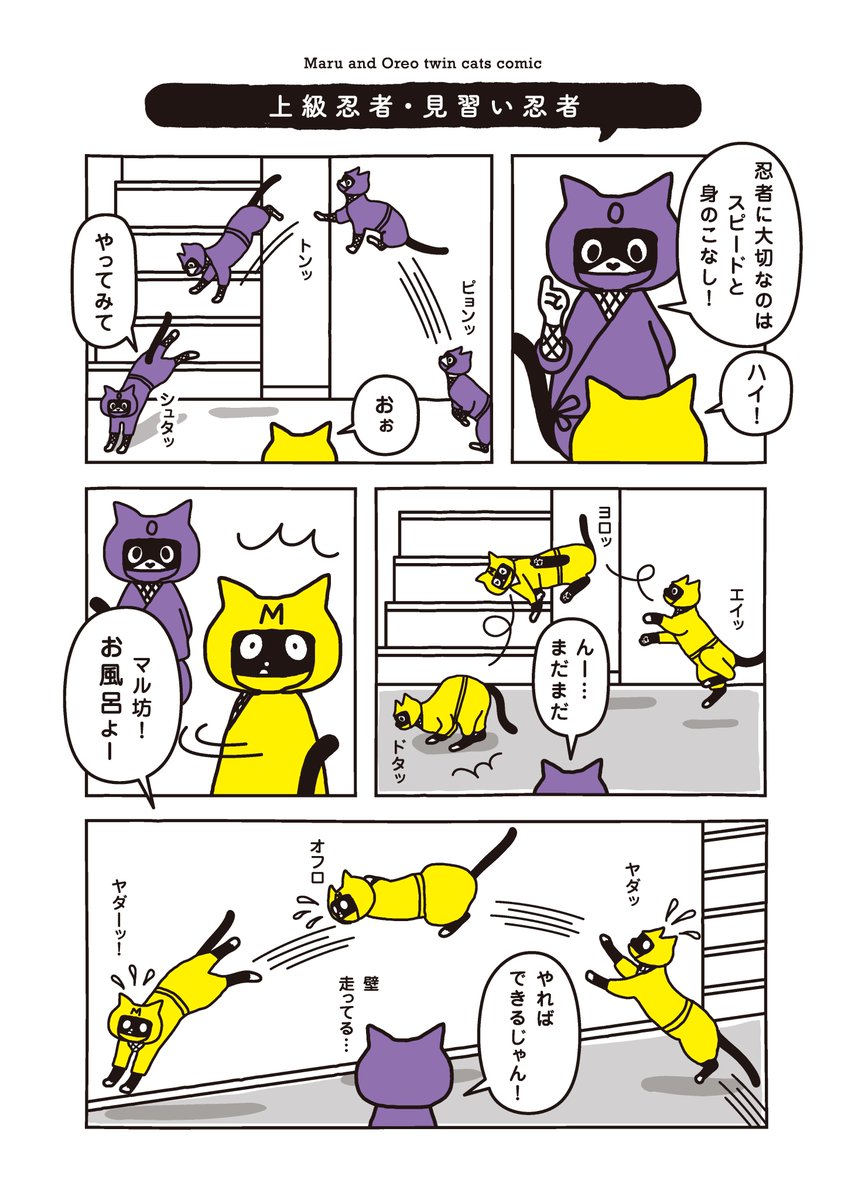 Maruore_comic's tweet photo. 【再掲】お風呂ぎらいのマル 運動神経はっき！
@fuji_ayako @umetokoume1 @famostaff  

#漫画が読めるハッシュタグ 
#猫がいる幸せ 
#猫がいる生活 
#マルとオレオふたりはなかよし https://t.co/uJBT4JyPUV