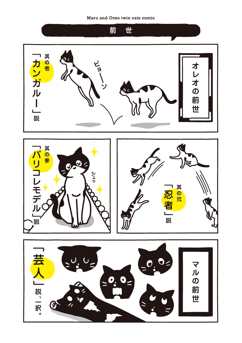 Maruore_comic's tweet photo. 【再掲】お風呂ぎらいのマル 運動神経はっき！
@fuji_ayako @umetokoume1 @famostaff  

#漫画が読めるハッシュタグ 
#猫がいる幸せ 
#猫がいる生活 
#マルとオレオふたりはなかよし https://t.co/uJBT4JyPUV