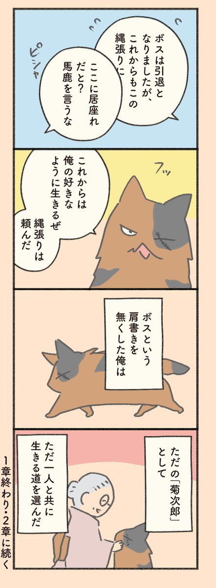 #もしも猫外伝 「菊次郎とふみ」その16    1日1ページ更新。