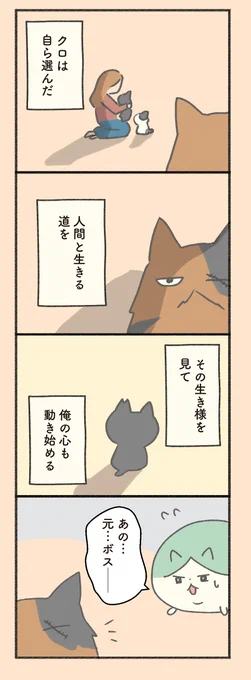 #もしも猫外伝 「菊次郎とふみ」その16    1日1ページ更新。