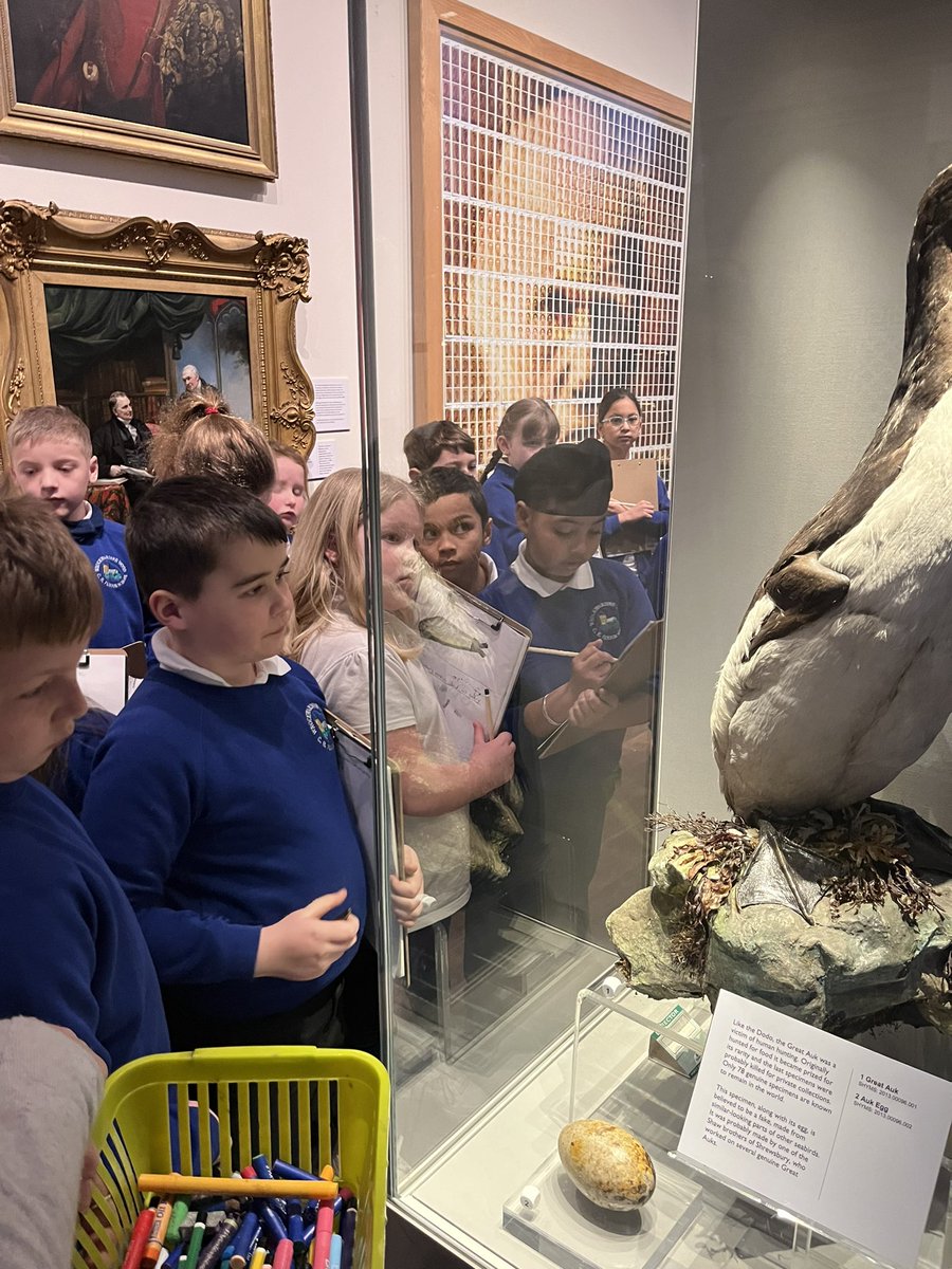 WrockwardineWoodJnrs tweet media