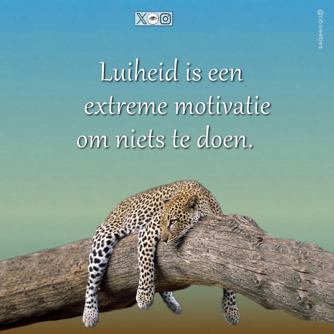 ribWeetjes's tweet photo. #Xi136 - βMotiverendβ - #verveling #Xi βππ https://t.co/uj2ggMEpSu